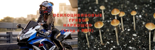 бошки Алексин